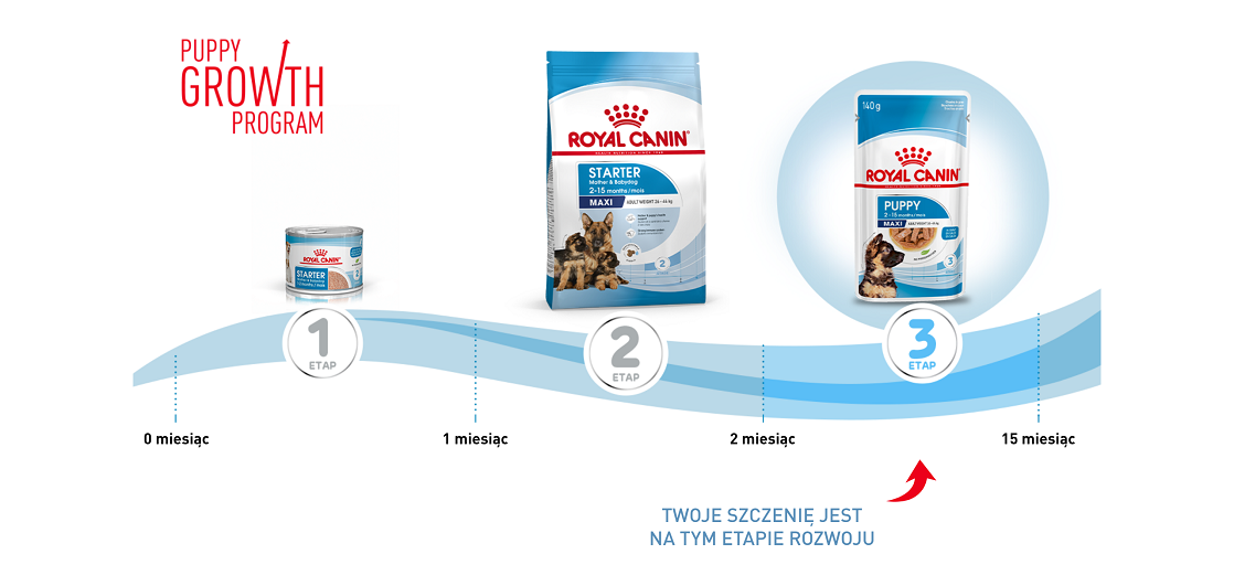 ROYAL CANIN Maxi Puppy in souce 10x140 g